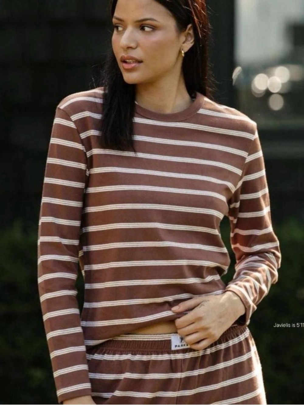 Striped Long-Sleeve Crewneck Top in Brown and Cream